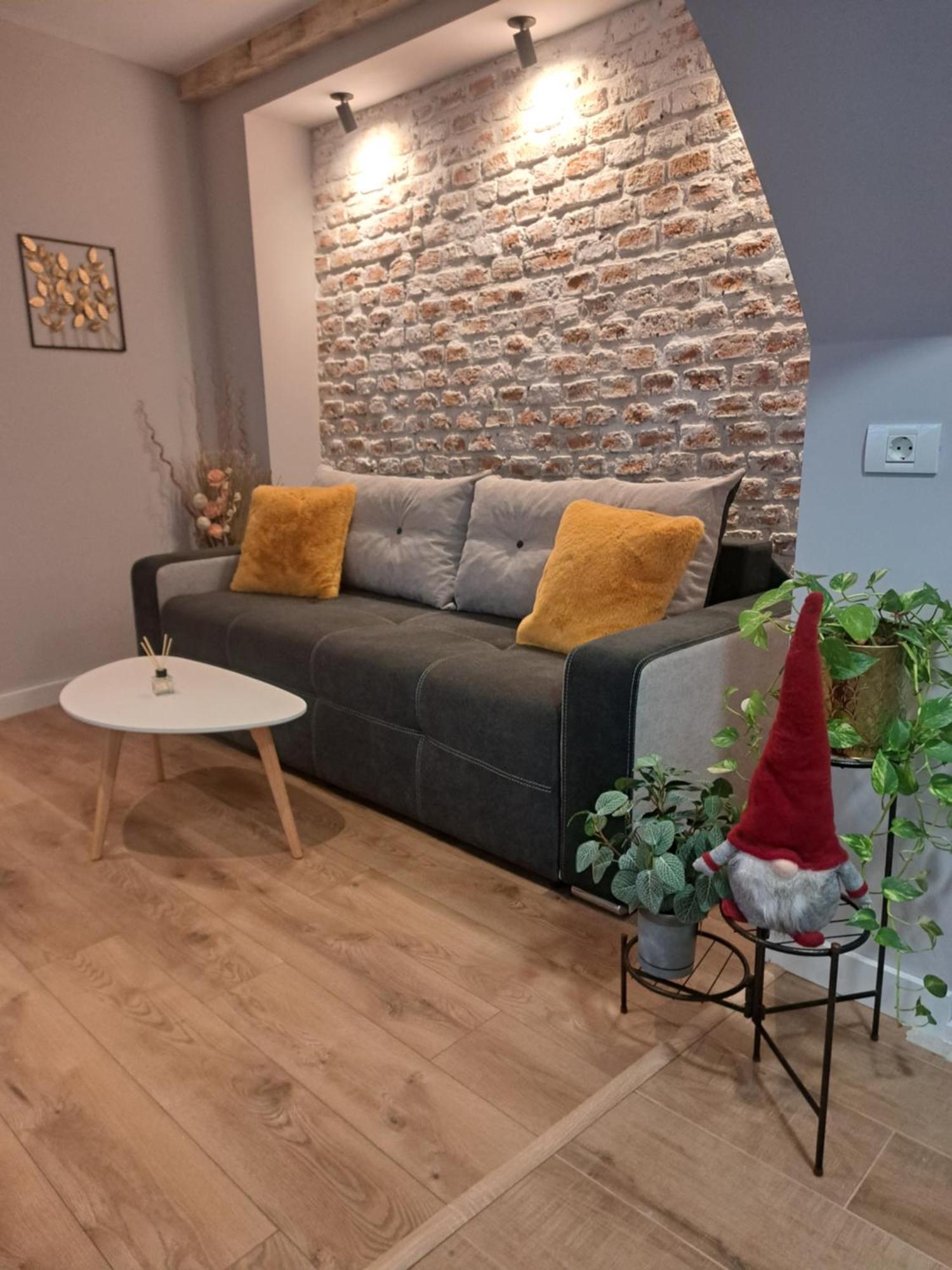 Casa Ileana Centrul Vechi Brasov Apartment Exterior foto