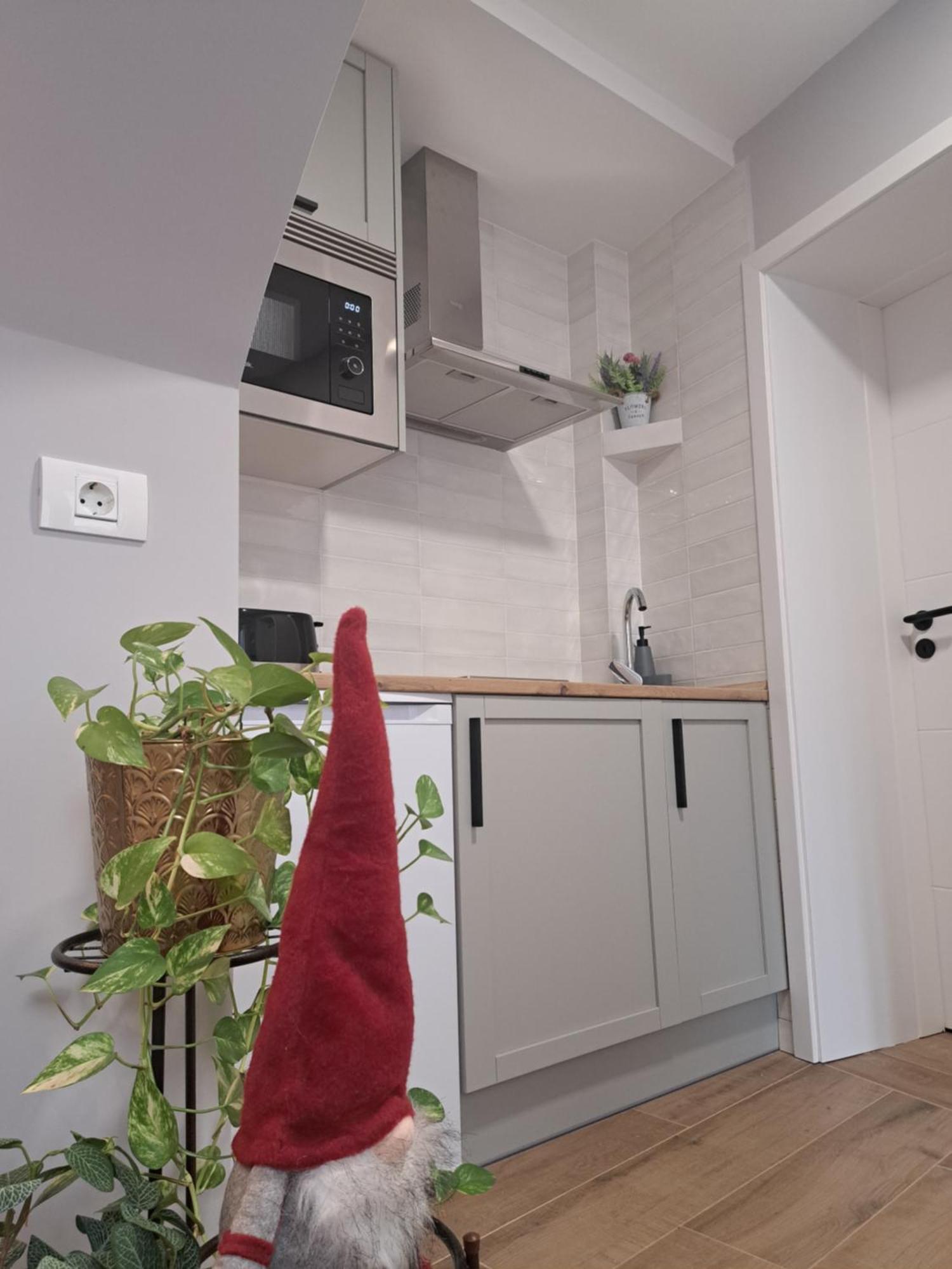 Casa Ileana Centrul Vechi Brasov Apartment Exterior foto